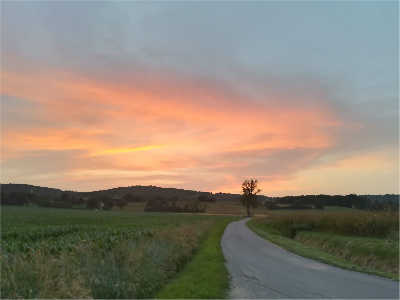 Chemin au soleil levant – symbole du cheminement intérieur