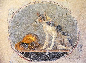 chien