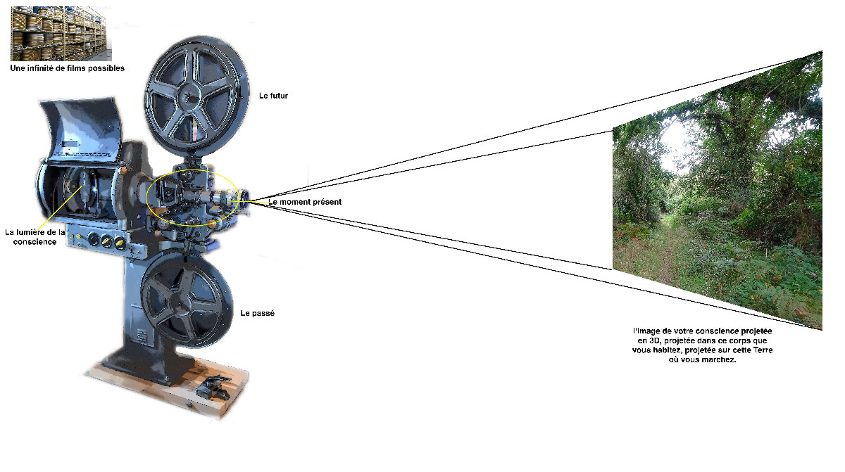 Projecteur et écran