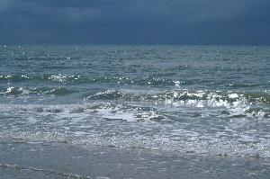 Vague
